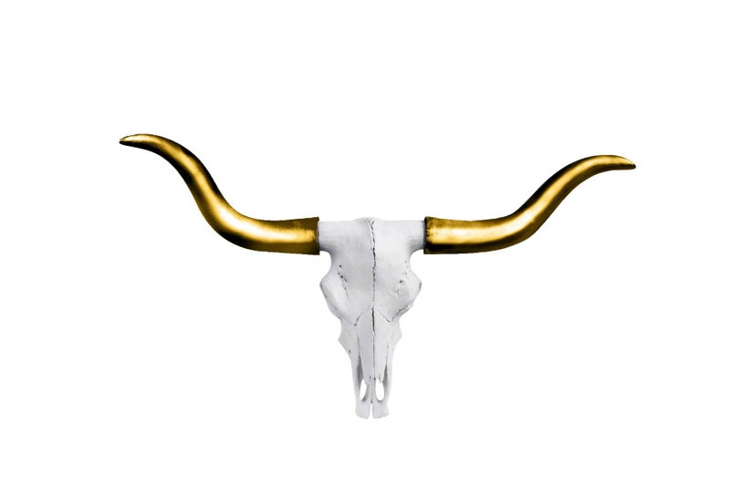 Wallcharmers Gold and White Longhorn Skull Wall Decor, Faux Taxidermy Bull Horns for Wall, Goes Well for Farmhouse Decor, Size, White + Gold Horns - Image 1